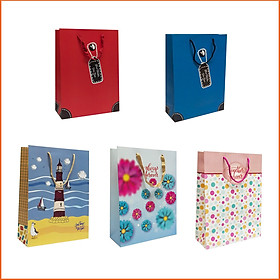 Combo 2 Túi xách dây sơ mi TT115 - 27 x 36 x 11 cm - Giao mẫu ngẫu nhiên