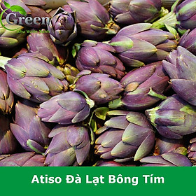 Mua Hạt Giống Atiso Đà Lạt Bông Tím Chất Lượng