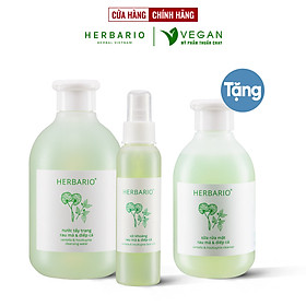 Bộ 3 rau má và diếp cá Herbario chăm sóc da mụn: Nước tẩy trang 300ml + Sữa rửa măt 200ml + Xịt khoáng 100ml