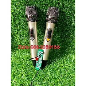 Mua Mic không dây Dành Cho Loa Kéo - Giá 1 cặp