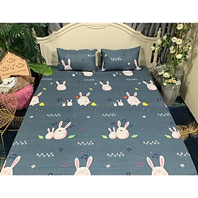 Ga Chống Thấm Cotton LIDACO Loại Dày - Thỏ Hồng (Nệm 15cm)