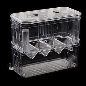 Mua Tank Incubator 2-Layer Breeding Hatching Isolation Box Aquarium