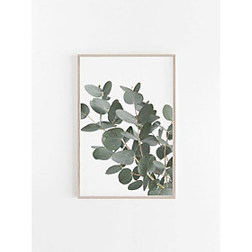 Tranh treo tường | Tranh cây lá nhiệt đới - Eucalyptus Print, Botanical 3
