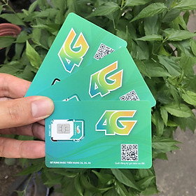 Sim 4G Viettel V120 Tặng 2GB/Ngày, Miễn Phí Gọi Nội Mạng, 50 Phút Ngoại Mạng - Hàng Chính Hãng