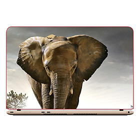 Miếng Dán Decal Laptop Animal DCLTDV 270