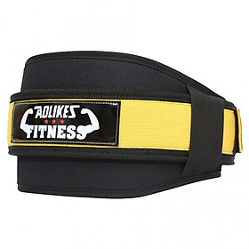 Đai Lưng Gánh Tạ Tập Gym AOLIKES TC-7983