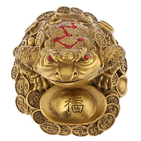 Retro Feng Shui Money  Wealth Chinese   Decor S