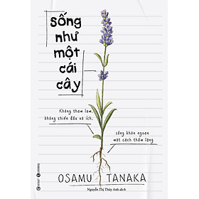 SỐNG NHƯ MỘT CÁI CÂY: KHÔNG THAM LAM, KHÔNG CHIẾN ĐẤU VÔ ÍCH, SỐNG KHÔN NGOAN MỘT CÁCH THẦM LẶNG