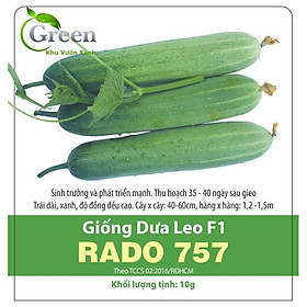 Hạt Giống Dưa Leo F1