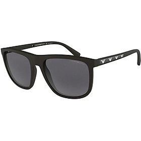 Kính mát chính hãng EMPORIO ARMANI EA4124F 5733/81