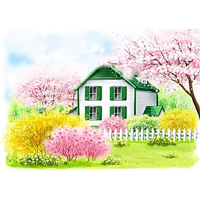 Giấy dán tường - C21