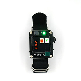 DSTIKE Watch DevKit Wearable ESP32 Development Board with Wristband TFT and OLED Version Optional
