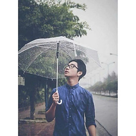 Dù Trong Suốt Thời Trang Cán Cong – Che Mưa Hiệu Quả, Nhẹ Nhàng Và Thanh Lịch