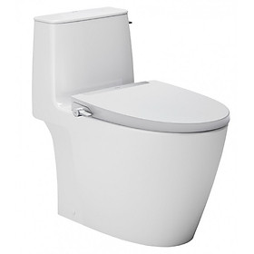 Mua Bồn Cầu INAX AC-912/CW-S32VN Nắp Rửa Cơ Xả Gạt