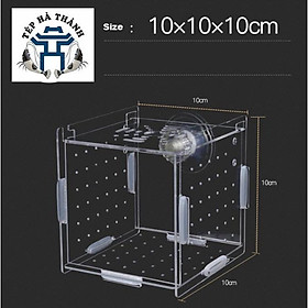 Lồng Dưỡng Cá Tép Mica Siêu Trong Cho Bể Thủy Sinh, Bể Cá Cảnh