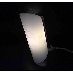 Đèn LED Gắn Tường 2,5W Rạng Đông Cao Cấp - Model: D GT06L CD/2,5W