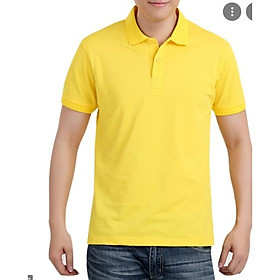 Áo thun polo nữ, đủ màu đủ size, thiết kế basic, phù hợp mặc công sở, đồng phục