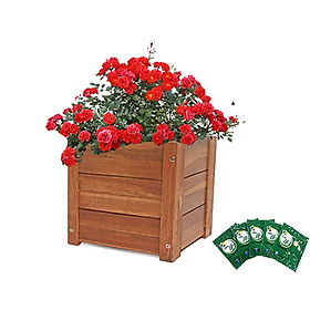Chậu gỗ trồng cây Vuông Greenhome-Gỗ tràm bông vàng-D30xR30xC30cm - TẶNG KÈM 5 GÓI DƯỠNG HOA TƯƠI LÂU