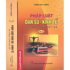 Sách Pháp Luật Dân Sự - Kinh Tế Và Thực Tiễn Xét Xử ( Tập 2)