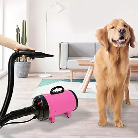 Máy thổi thú cưng Xiaomi JASE 2200W Độ ồn thấp Máy sấy tóc nhanh cho chó và mèo