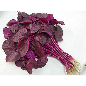 Mua Hạt giống rau Dền Đỏ - gói 20gr