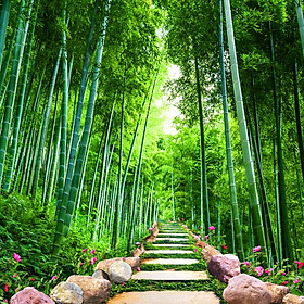 Mua Tranh Dán Tường LN 0350