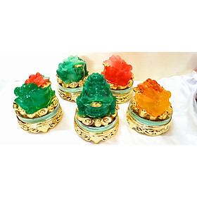 Mua Cóc ngậm xu vàng phong thủy