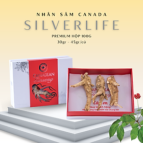 Nhân sâm Canada SilverLife Premium | Nhân Sâm Canada Khô Nguyên Củ | Loại to đặc biệt 5 năm tuổi