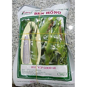 Hạt giống bắp nếp GOOD 68 Sen Hồng 100g