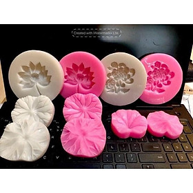 Mua khuôn hoa sen  hoacuc lá sen