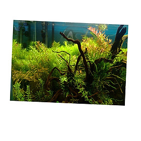 Aquarium,   Tank Background Poster Grass Decorative Wallpaper 61x30cm