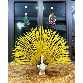 Mua BÌNH HOA ĐẸP HÌNH CHIM CÔNG SIÊU QUÝ PHÁI ĐỘC LẠ