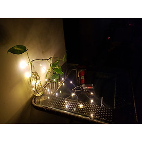 Dây đèn led đom đóm chụp ảnh, trang trí phòng, hoa,đặt vào bình thủy tinh cổ tích nguồn pin tiểu vàng nắng  2 mét