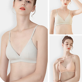 Áo ngực/bra cotton không gọng, đệm mỏng, cài sau LYEA014