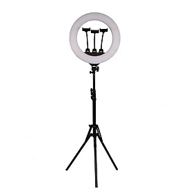 Đèn livestream 33cm, 36cm đèn led trợ sáng chụp ảnh, studio, trang điểm