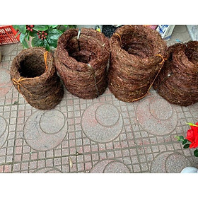 Mua Vòng nguyệt quế   vòng treo cửa trang trí Tết noel