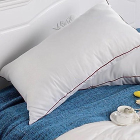 Mua Bộ 2 ruột gối cao cấp Hilton 50x70cm