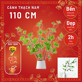 Cành cây giả - Cành Thạch Nam trang trí decor nhà cửa cành dài 110cm mã CG-005