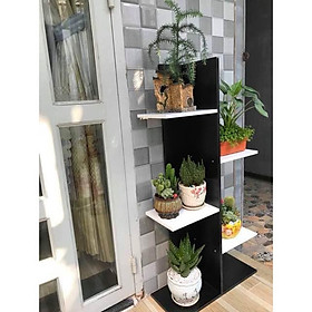 Mua Kệ cây cảnh trang trí