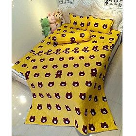 Bộ chăn ga gối CP20 set 5 món Loại 1 hàng chất lượng đẹp nét nhiều màu sắc tinh tế cho phòng ngủ của bạn
