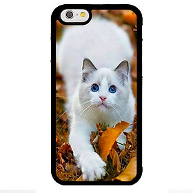 Ốp lưng cho điện thoại Iphone 6 mẫu CB 28 - Hàng chính hãng