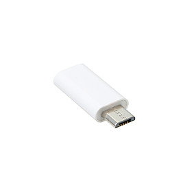 Bộ Chuyển Đổi Type C Sang Cổng Micro USB