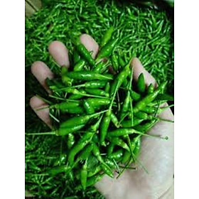 Mua Hạt giống ớt xiêm xanh 606AQ
