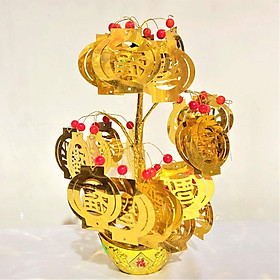 Mua Cây Kim Tiền Chiêu Tài Lộc Trang Trí (Nhiều Mẫu)