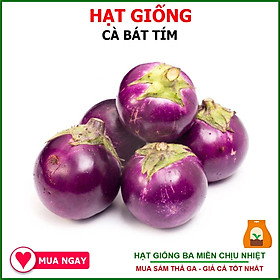 Hạt Giống Cà Bát Tím Tròn Thu Hoạch Nhiều Lần Gói 1gram Nguyên Bao Bì Nhà Sản Xuất - Shop Hạt Giống Ba Miền Chịu Nhiệt