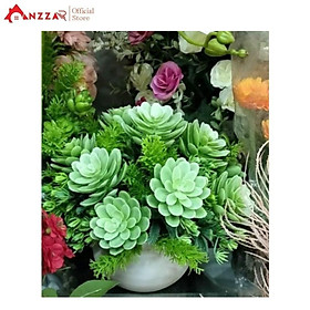 Mua Cây sen đá giả để bàn trang trí bàn làm việc văn phòng  kệ tủ  giá sách  nhà cửa  spa cao 25cm (Cây kèm chậu)