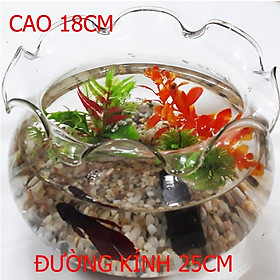 Hình ảnh Bể Cá Lớn HB-1 25x25x18CM - Hồ Cá Để Bàn - Chậu Cá Thủy Tinh