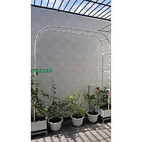 Mua CỔNG CHO HOA LEO RỘNG 210*CAO 225* SÂU 31CM - TRẮNG