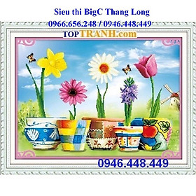 Mua tranh thêu chữ thập 5 chậu hoa khoe sắc  ngũ sắc nhân sinh 5D494 (chưa thêu)
