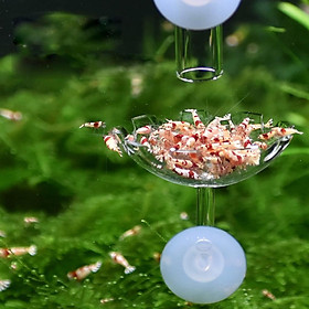 Aquarium Shrimp Feeding Bowl Feeder Glass Container with Feeding Tube 250mm